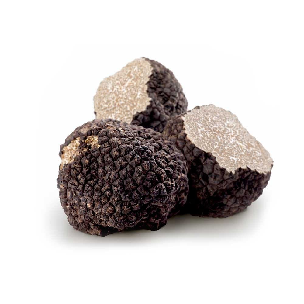 tartufo-estivo-sap.jpg