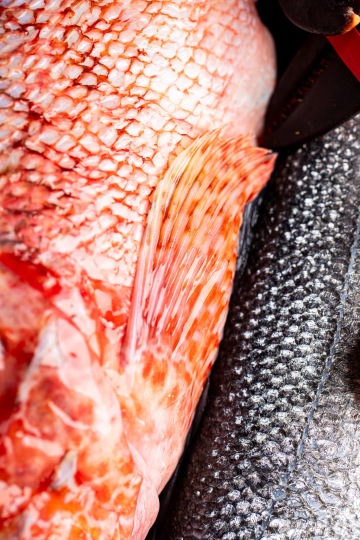 Grilované jehněčí kotletky s pistáciovo-mátovou krustou, baby brokolice a omáčka s kapary