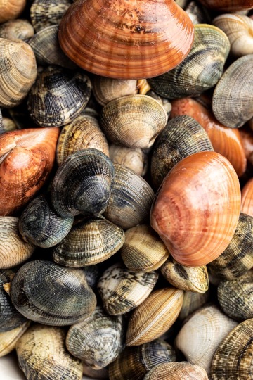 Grilované jehněčí kotletky s pistáciovo-mátovou krustou, baby brokolice a omáčka s kapary