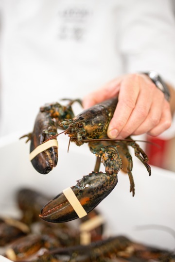 Grilled lamb chops in mint - pistachio crust with baby broccoli and sauce with capers