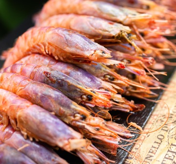 Grilled lamb chops in mint - pistachio crust with baby broccoli and sauce with capers